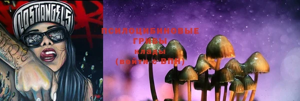 эйфоретик Верхний Тагил