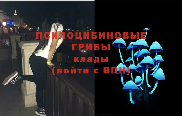 амф Володарск