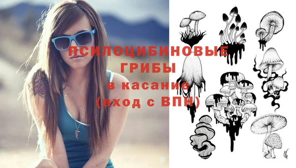 амф Володарск