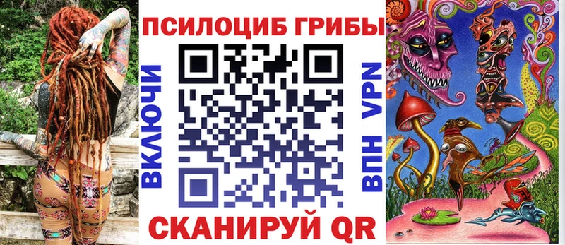 Галлюциногенные грибы Psilocybe  Уссурийск 
